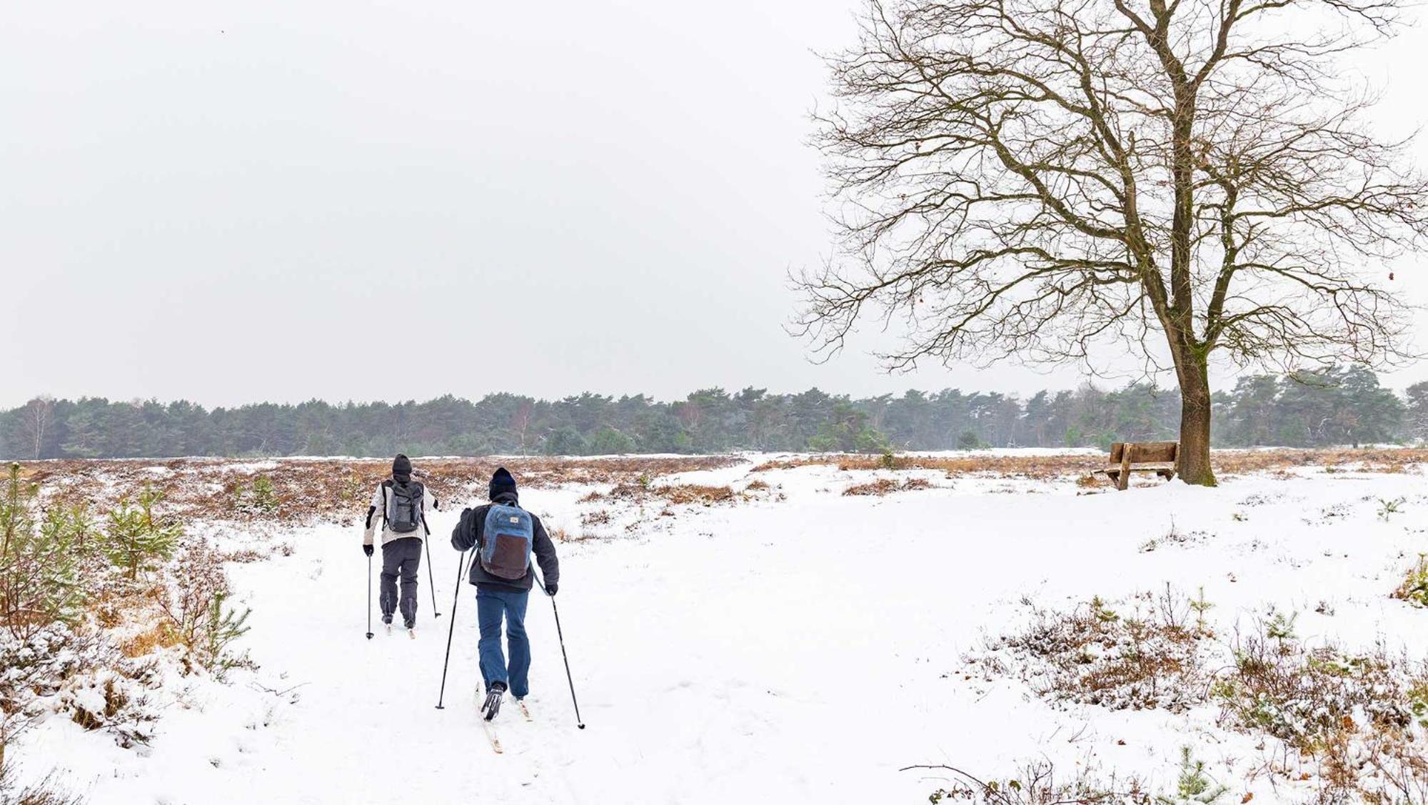 Molecaten Park Landgoed Ginkelduin Leersum Экстерьер фото